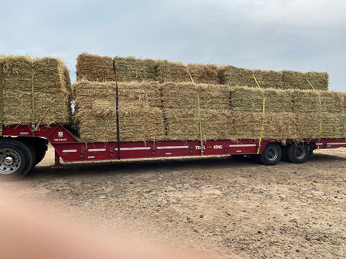 Wheat straw shown loaded onto a trailer