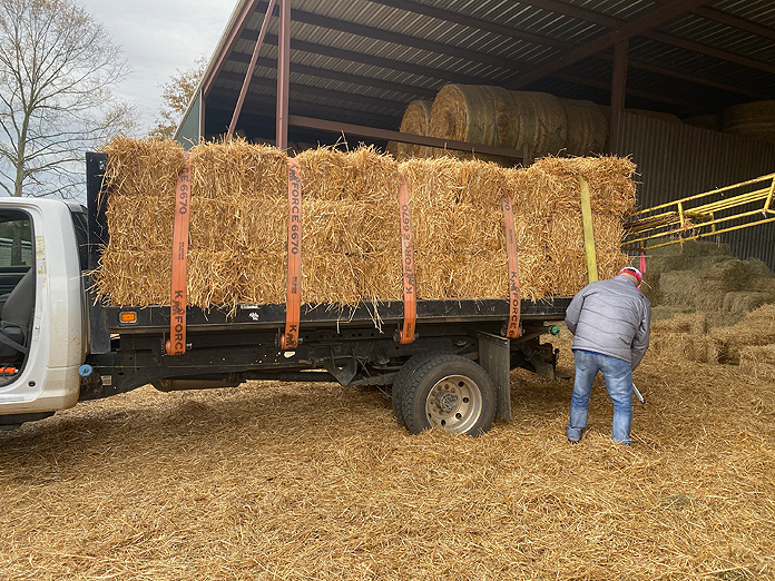 Wheat straw shown loading onto a flatbed truck